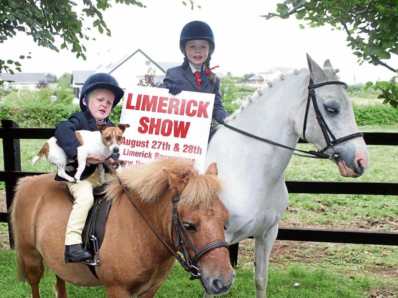Limerick Show set fair for two great days this weekend