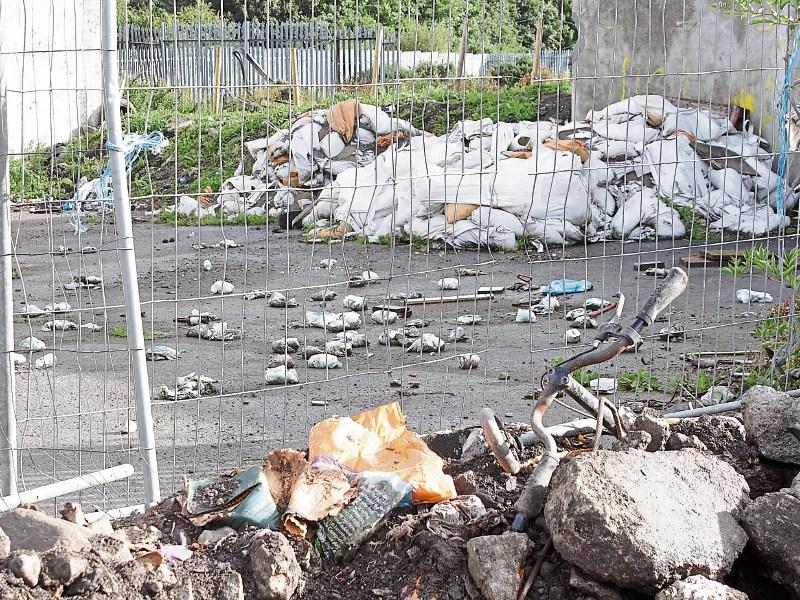 Report finds Limerick is 'clean to European norms' 