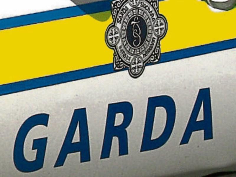Limerick gardai in appeal following&nbsp;burglary at&nbsp;home of elderly woman