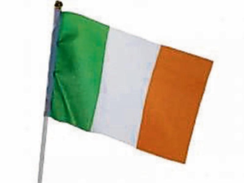 Flags and whistles confiscated at Limerick parade