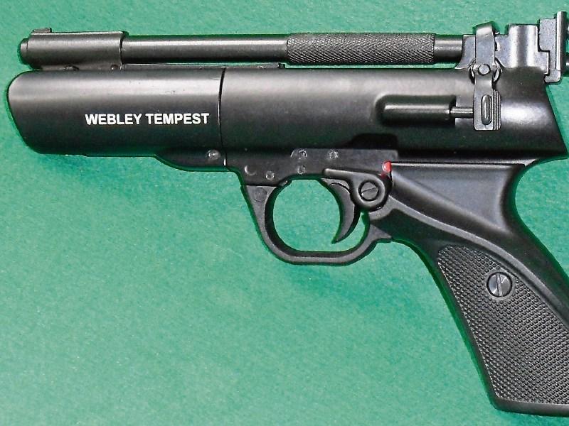 RSF member had gun 'left behind' by Limerick gardai