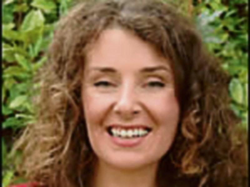 Newcastle West born expert to address UN General Assembly&nbsp;