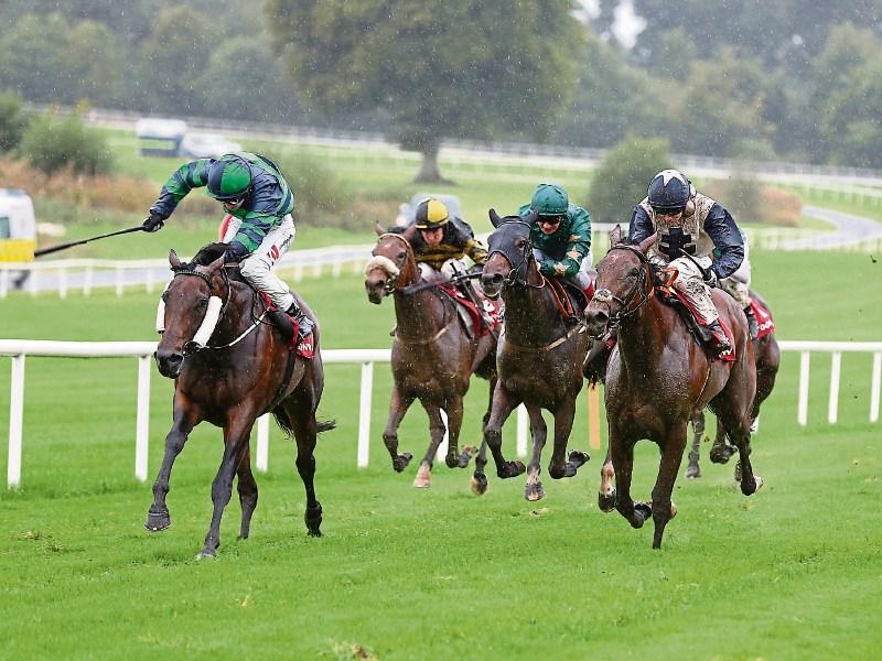 THE PUNTER'S EYE: Four horses to follow this weekend 