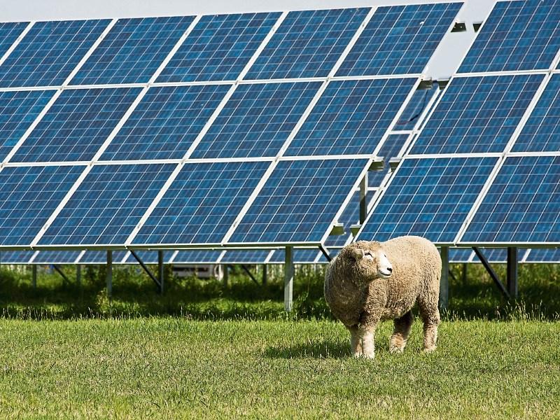 Solar farm planned despite Limerick's rainy reputation