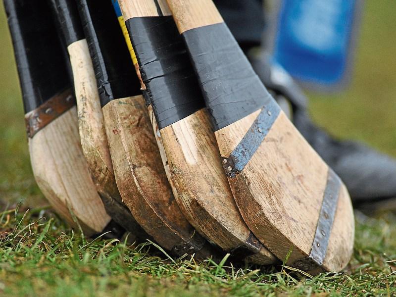 Monaleen and Cappamore win promotion to senior hurling ranks
