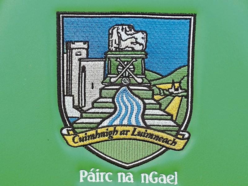 All the weekend Limerick GAA Results