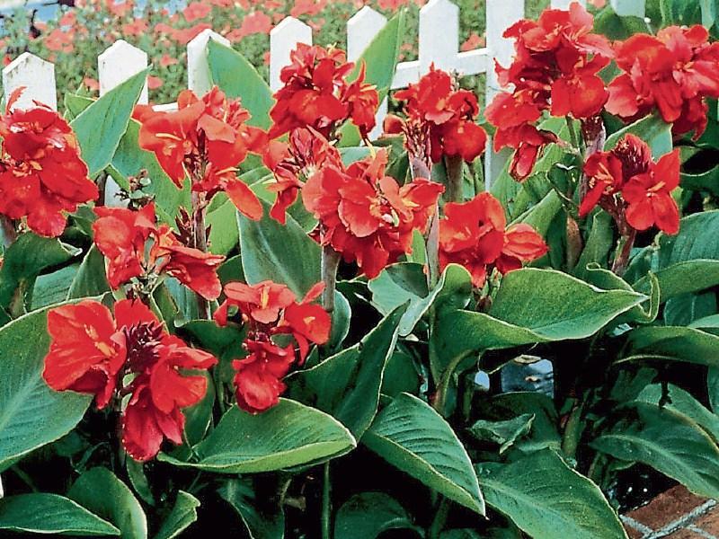 Autumn delights that are making a big comeback