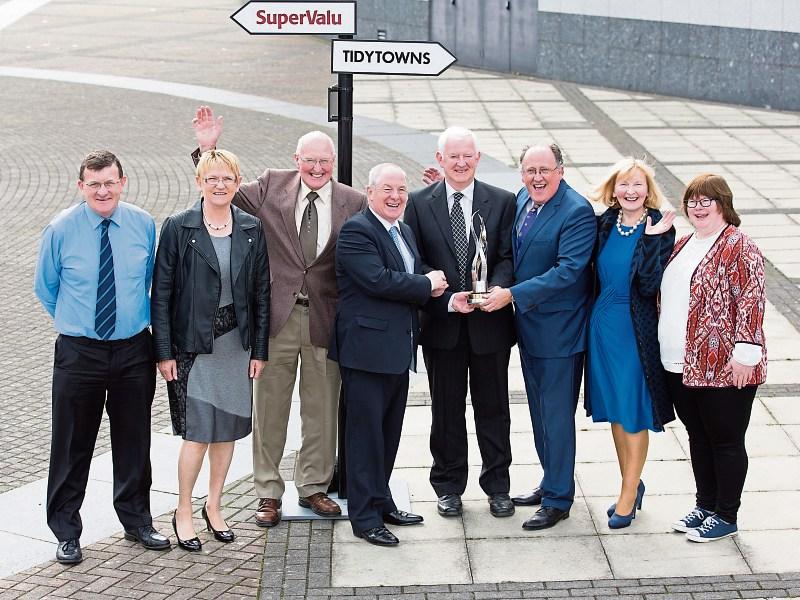 All Limerick Tidy Towns groups sweep the boards