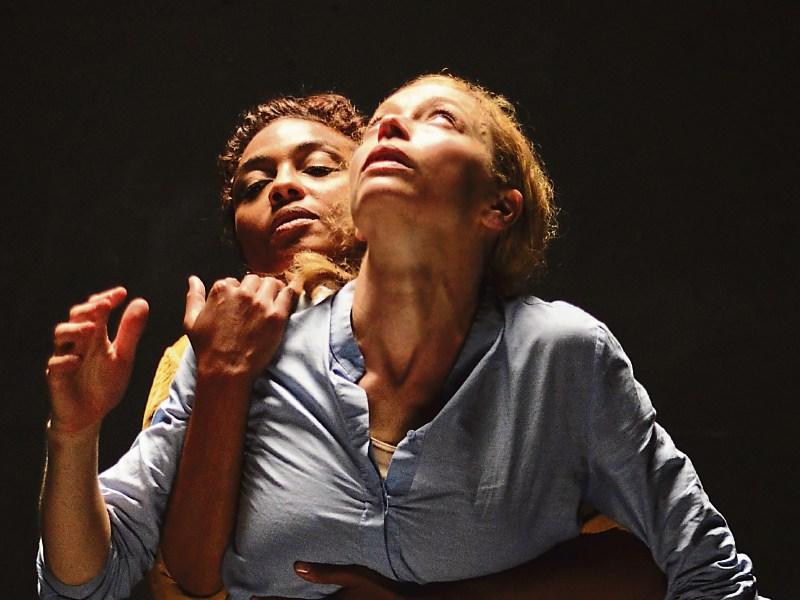 Two of Liz Roche's 'hot properties' for Limerick