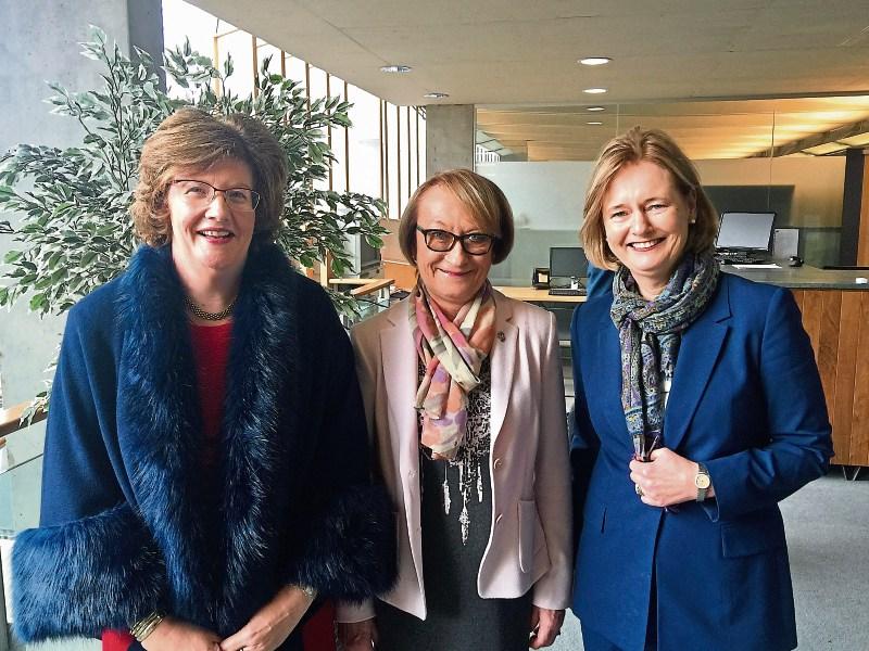 Fine Gael's Elenora Hogan formally co-opted onto Limerick City and County Council