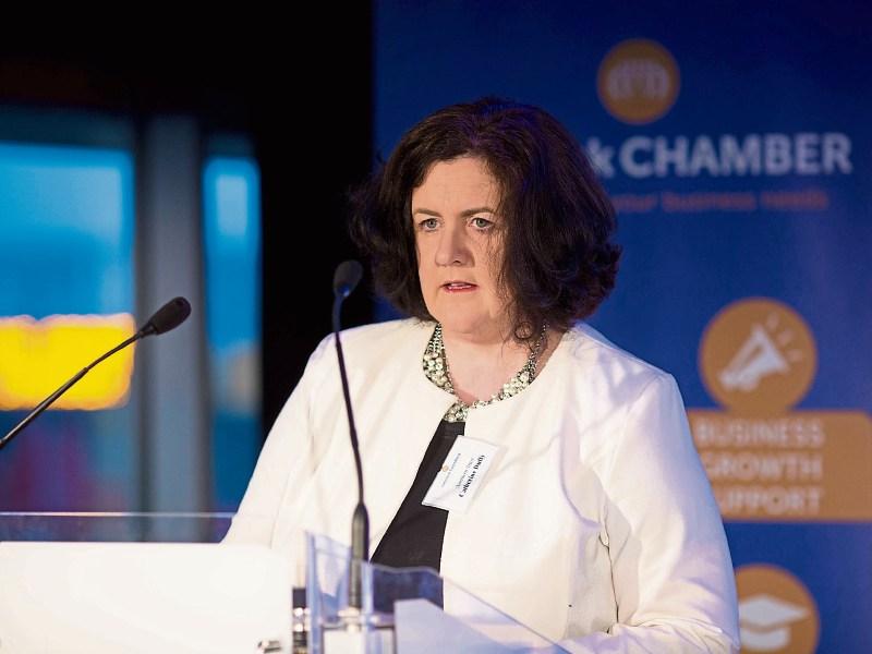 Limerick Chamber president sings praises of the city