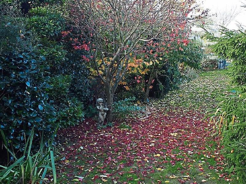Despite the mess - leaves are great