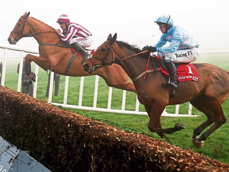 Horse racing tips for Limerick, Fairyhouse and Gowran Park this weekend
