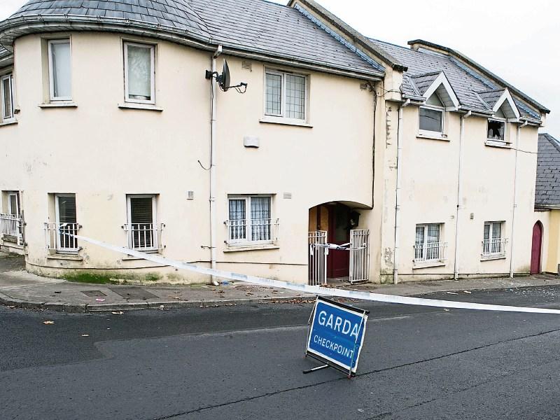 Limerick woman remains in coma after attack
