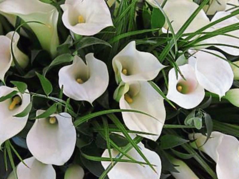 Deaths in Limerick - December 2, 2016