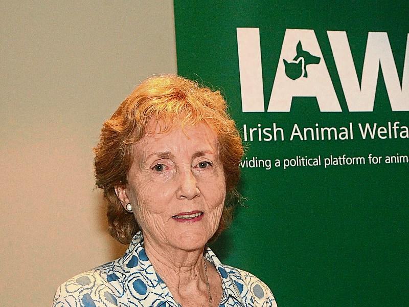 Limerick charity boss vows to 'go to jail' before paying rates bill of €40k