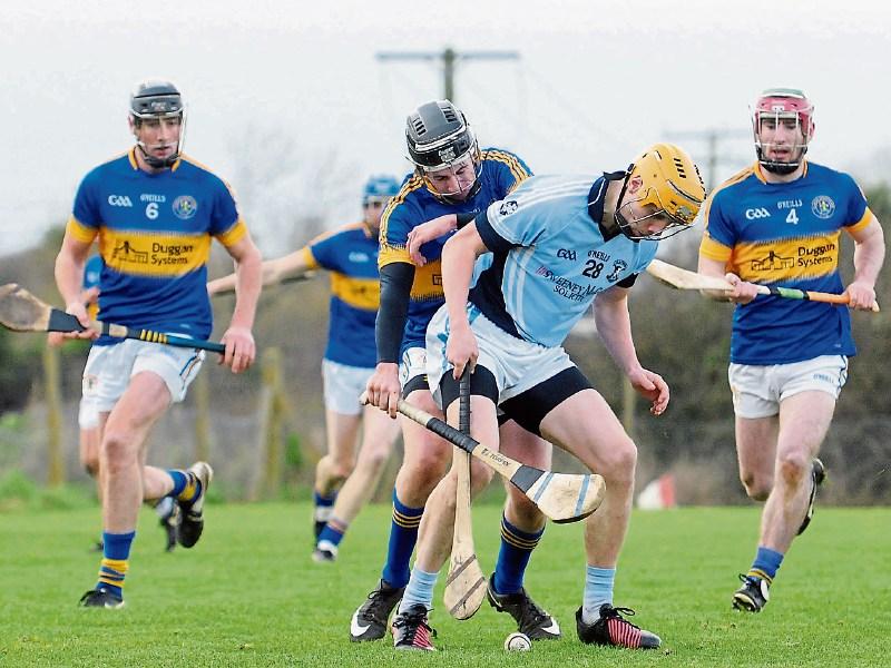 Na Piarsaigh crowned Limerick senior hurling league champions