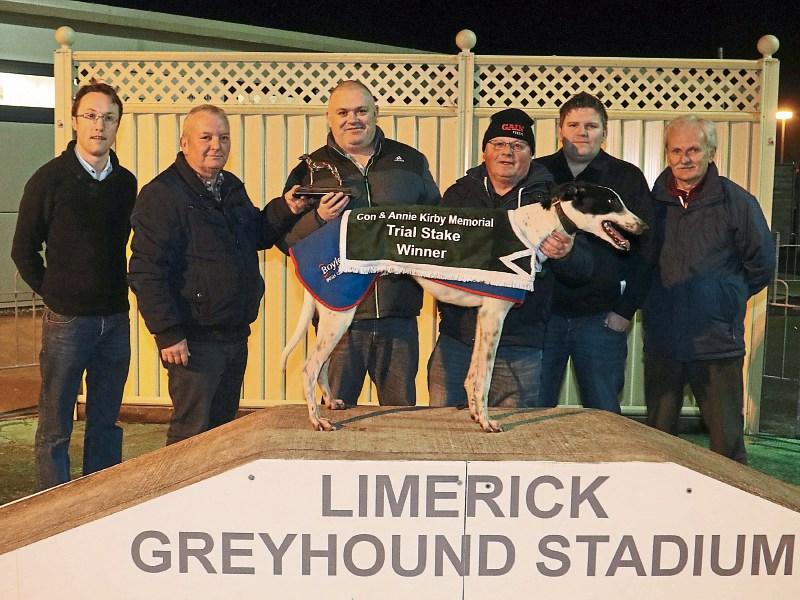 Limerick-owned greyhound worth €1m stolen in 'Shergar' style theft