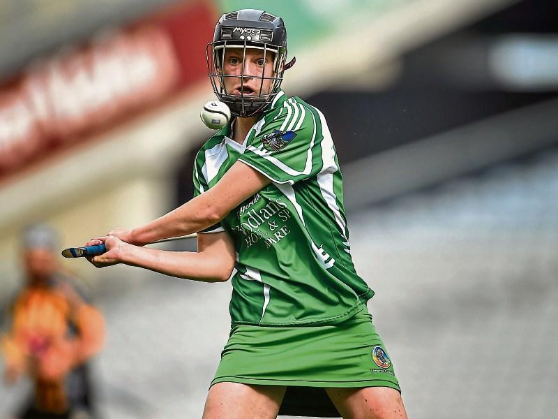 Limerick's Mulcahy scoops camogie accolade at Munster GAA Awards