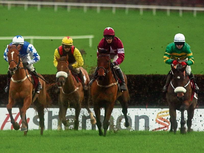 Under starter's orders for Limerick Christmas Racing bonanza