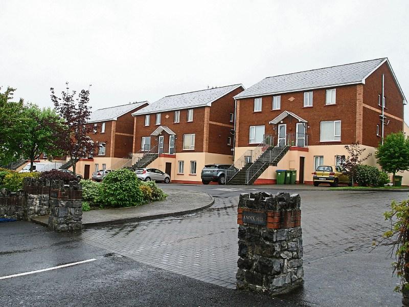 Limerick man sustained catastrophic injuries in frenzied assault