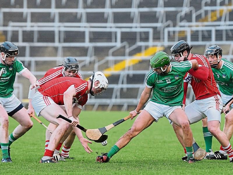 Martin Kiely &ndash;&nbsp;Some Limerick players need to come down to earth