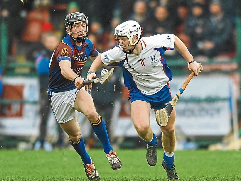 Profiled – Limerick trio set out on Fitzgibbon Cup trail