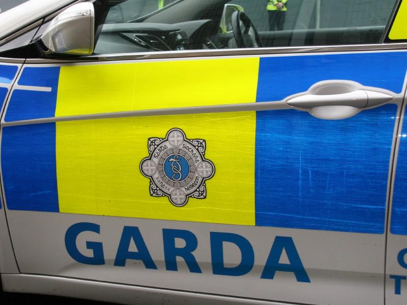 Guns and accessories found on lands near Limerick village