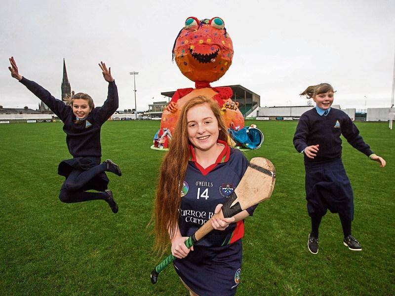 Countdown begins as 'monster' Team Limerick Clean-Up returns