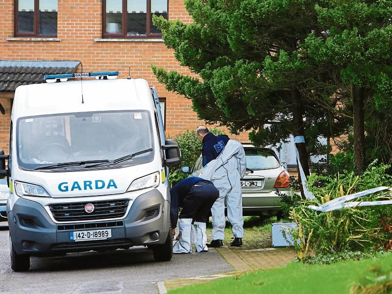 Man's body remained inside house at Limerick estate for several days after killing
