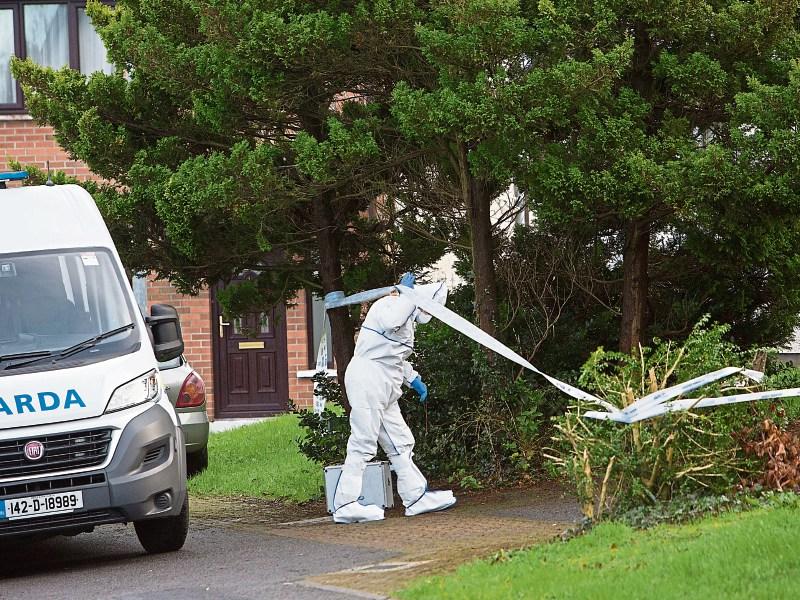 Blood stains found throughout house in Limerick estate following killing