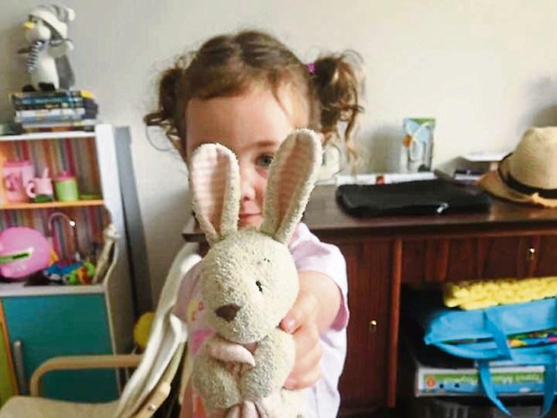 Bunny search: Limerick woman hoping to find missing 'passenger' 