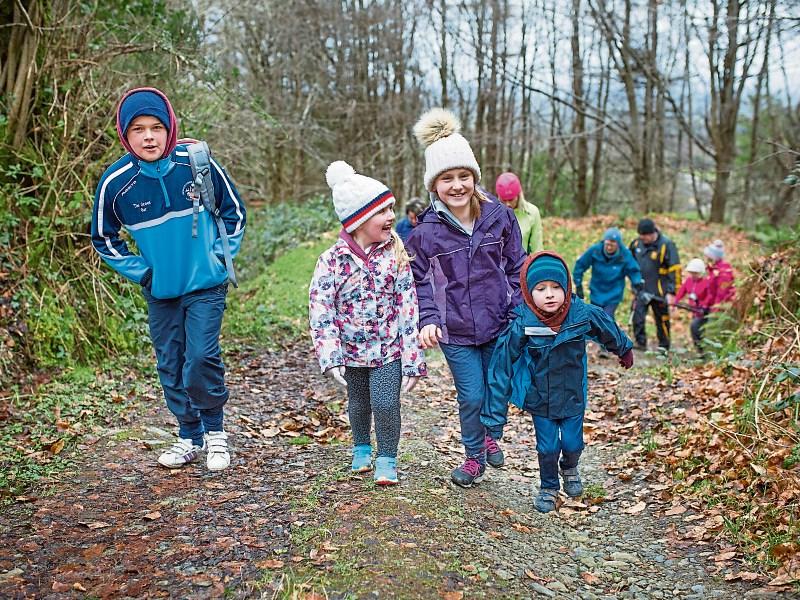 Get Involved in walking in West Limerick