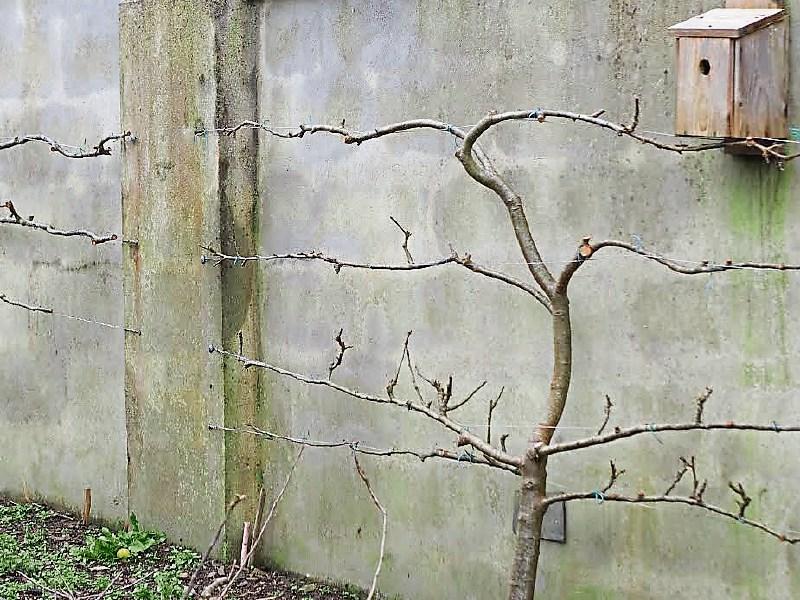 Signs of spring are everywhere