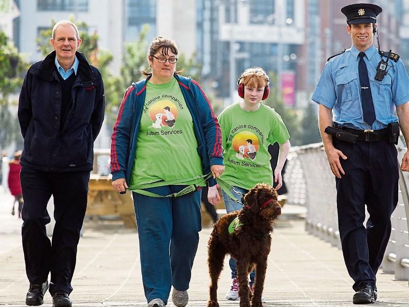 OPINION: Time we tackled scourge of dog waste on Limerick's streets