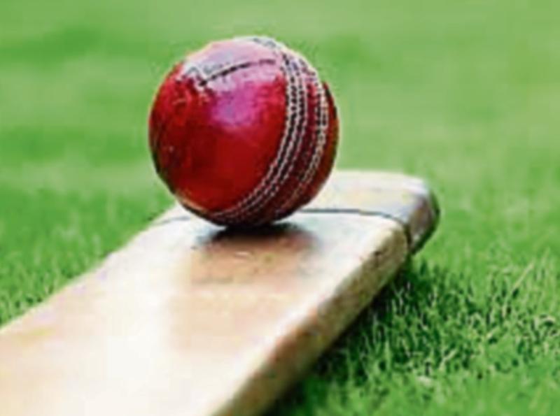 Anyone for cricket?
