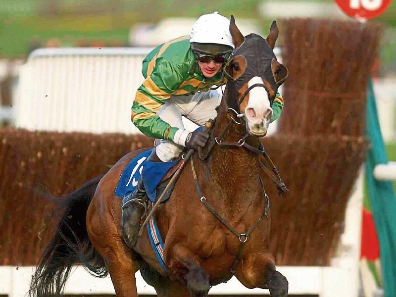 Cheltenham honours JT McNamara on Tuesday
