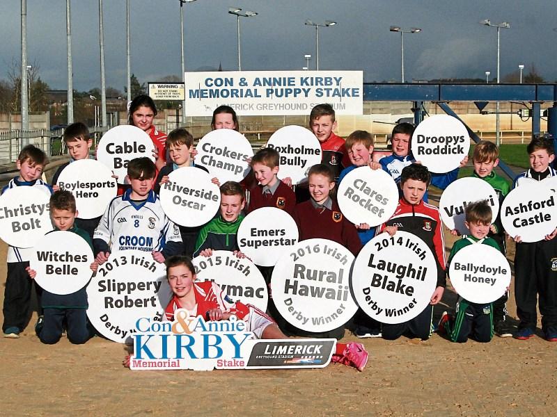 48 remain in Limerick's Con and Annie Kirby Memorial