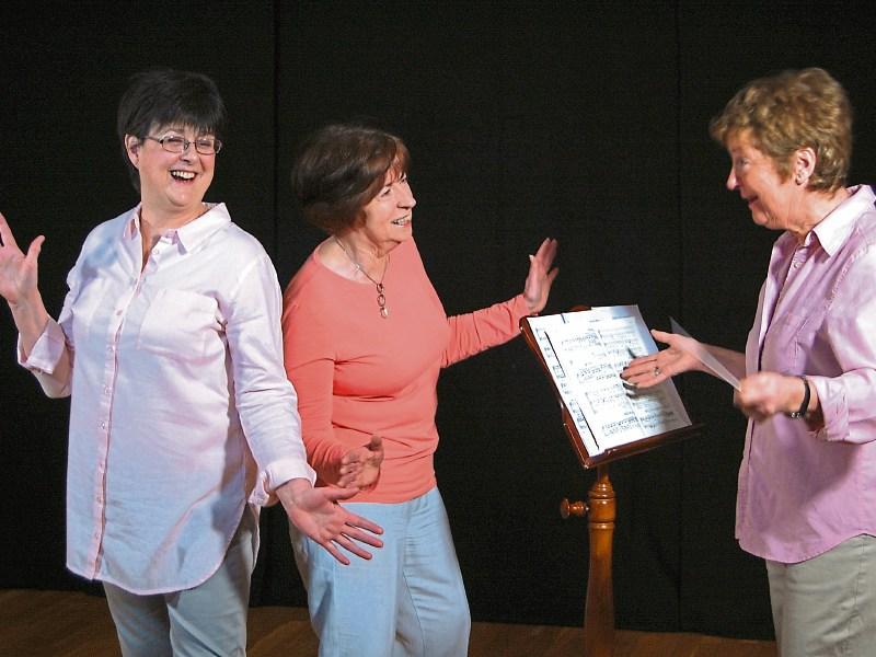 Over 50s to show off Choral Moves at Dance Limerick