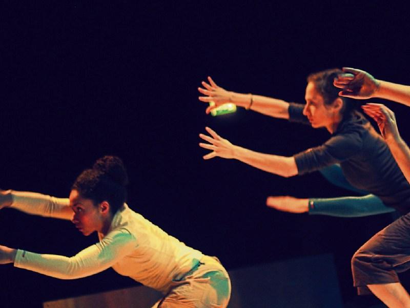 Echo Echo Dance Theatre Company bring The Cove to the Lime Tree