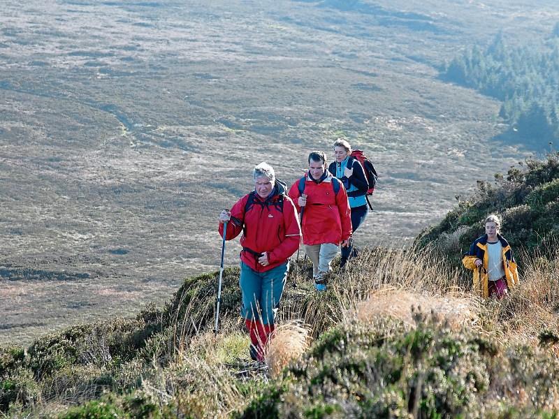 Walking festival to light up the Ballyhoura way