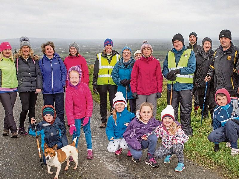 Limerick Leader's Get Involved entry is in final!