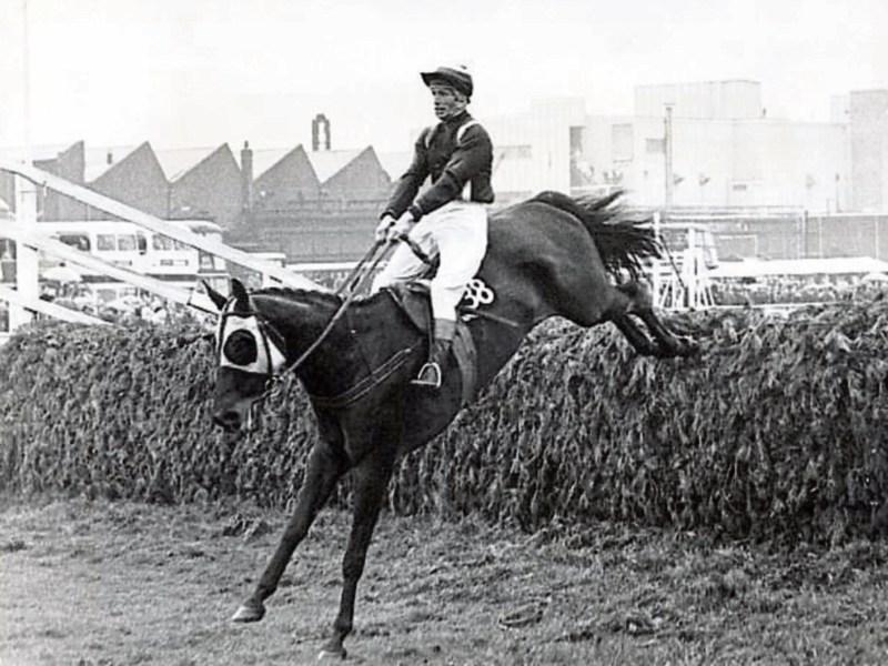 Plaque to be unveiled for famous Limerick bred Grand National winner Foinavon