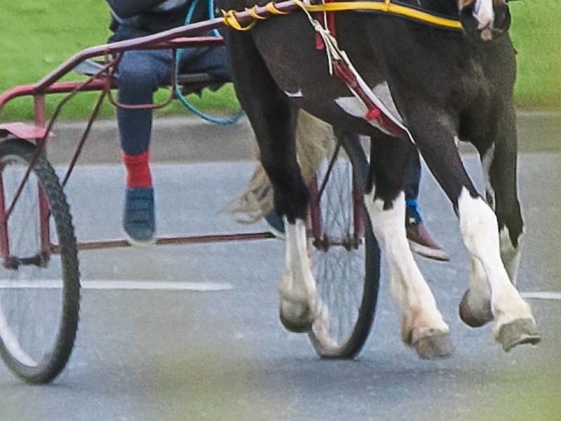 Horsing around: Motorist fined for 'spectating' at sulky race on busy Limerick road