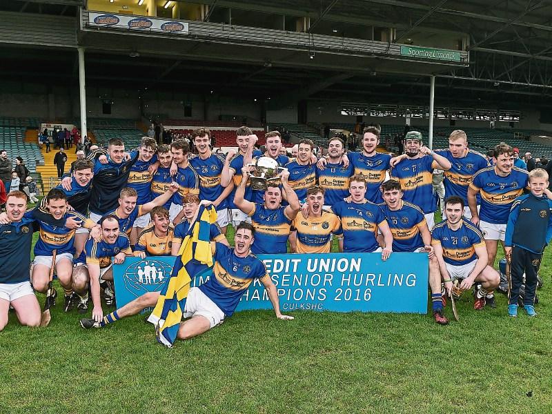 Limerick SHC round one match previews