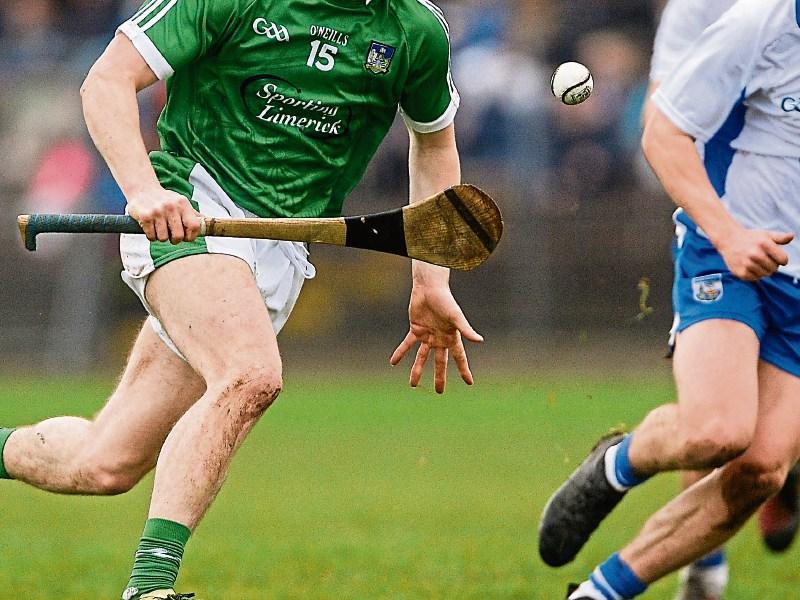Limerick hurlers get confidence boosting challenge game win over Waterford