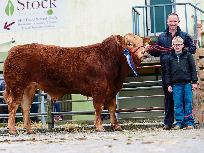 ‘You simply can’t beat breeding’: Three Limerick generations celebrate success