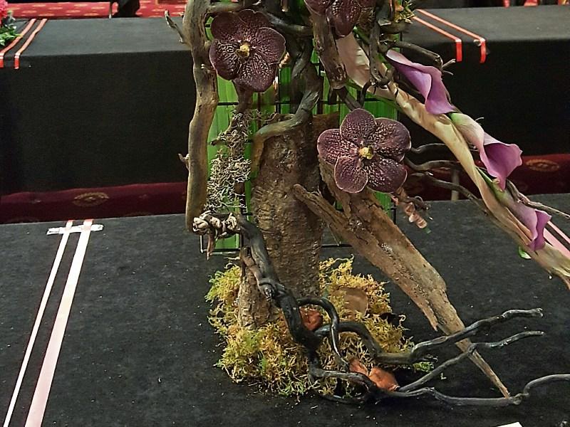 Two Limerick women looking for glory at&nbsp;Bloom&nbsp;