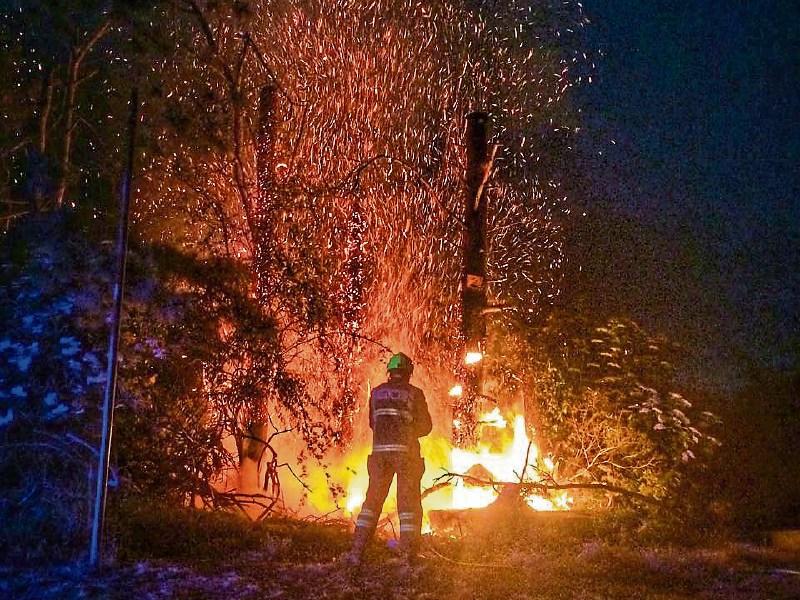 Large tree fire sparks callout for Limerick Fire crews