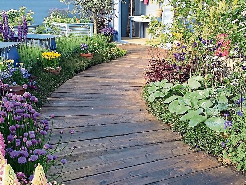 Bloom impresses once again